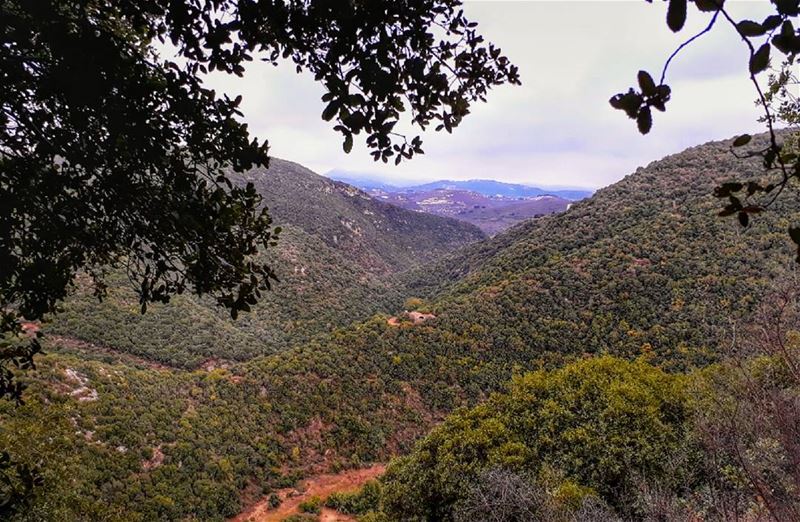  نهر_الجوز  rasnhash  batroun  lebanon  kalawounphoto  monbeauliban ... (Ra'S Nhash, Liban-Nord, Lebanon)