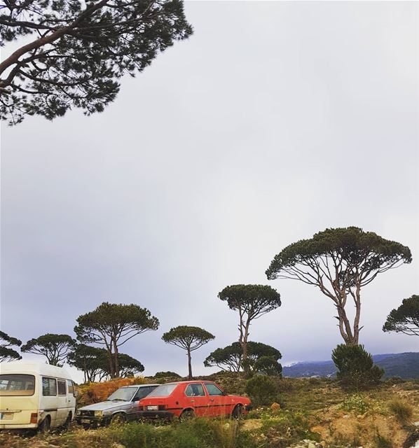 هالسيارة مش عم تمشي بدنا حدا يدفشها دفشةبيحكوا عن ورشة تصليح وما عرفنا وين (Bâroûk, Mont-Liban, Lebanon)