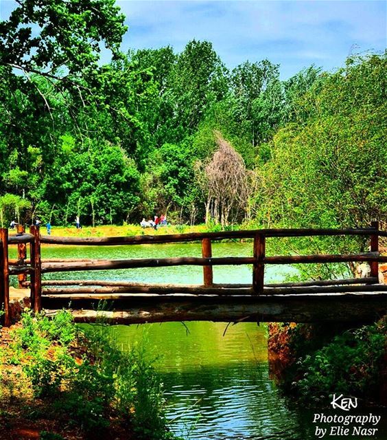 ...هب الغربي و طاب النوم ندهونا وما وعينا لامونا وشو نفع اللوم غصباً عنا... (Deïr Taanâyel, Béqaa, Lebanon)