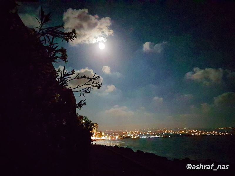 هذه الدنيا كتاب أنت فيه الفِكَرُهذه الدنيا ليالٍ أنت فيها العُمُرهذه الدن (Tyre, Lebanon)