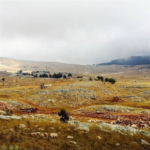 هل أرض لي ما فيا حدا.._________________________________________ mist ... (Falougha, Mont-Liban, Lebanon)