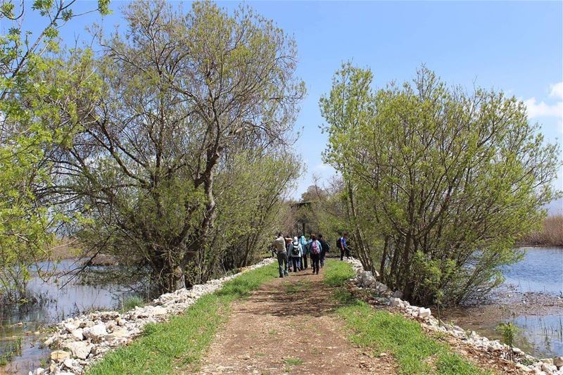   هل اتخذت الغاب مثلي منزلاً دون القصور  roadtoheaven  march greenworld ... (`Ammiq, Béqaa, Lebanon)