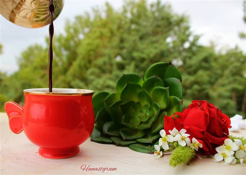 هناك قلوب نادره تشبه الورد ..إذا زارها احساس المحبه رواها ....🌷صباحكم قهو