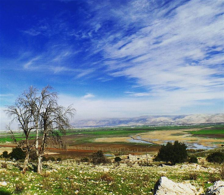 ... هون السما قريبة ammiqreserve  ammiq  westbekaa  lebanon_hdr ... (`Ammiq, Béqaa, Lebanon)