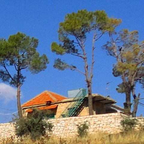 هون السما قريبي ، بتسمعنا يا حبيبي. (Zahlé, Lebanon)