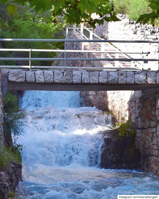 ‎هون الهوا غير الهوا بكلّ الدني‎وهوني عَ صوت المَي بيغنّي الحَجَر - جورج ي (Ehden, Lebanon)