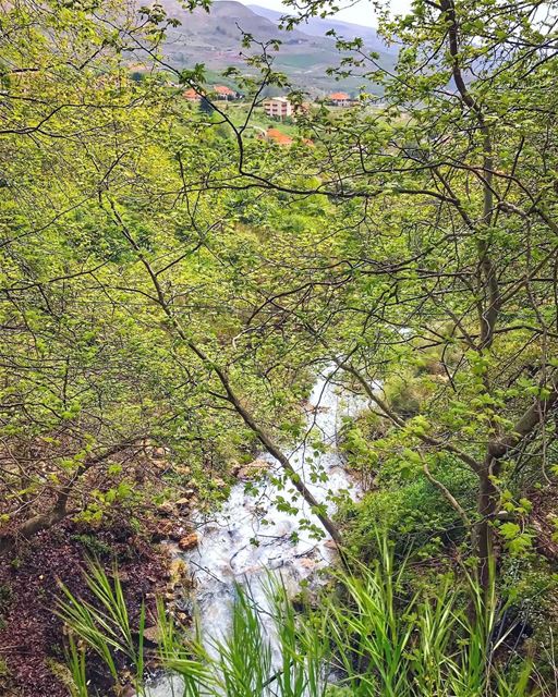 هون الهوا غير الهوا بكلّ الدنيوهوني عَ صوت المَي بيغنّي الحَجَر - جورج يمّ (Ehden, Lebanon)