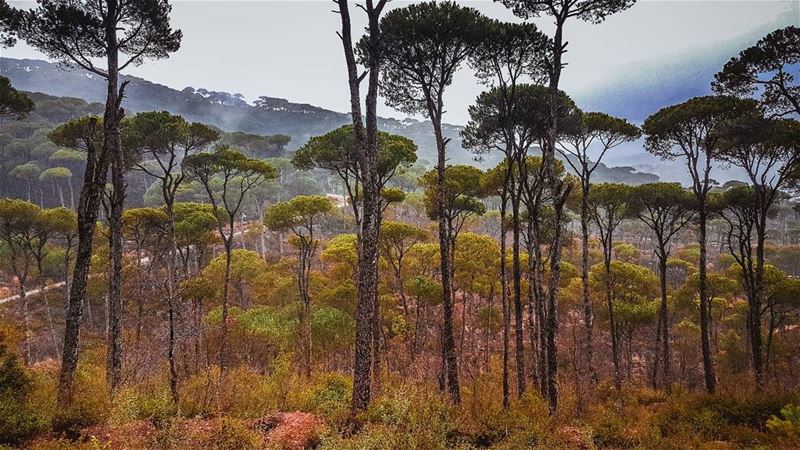 هونيك ب شي مطرح...  insta_lebanon  nature  hiking  insta_lebanon ...