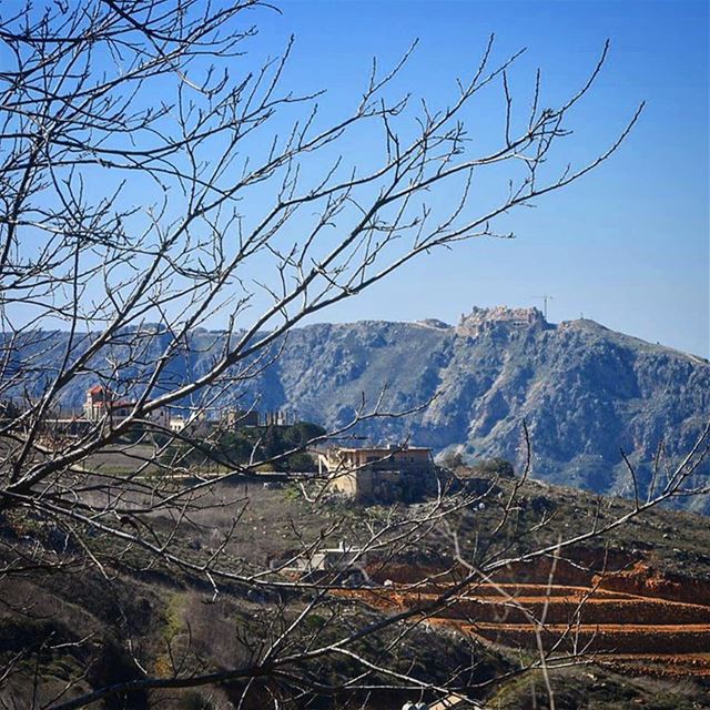 هيدي الأرض حقها دم وعرق وتعب جدودنا وما رح نتخلى عنها للأبد  klayaa ... (El Qlaïaâ, Al Janub, Lebanon)