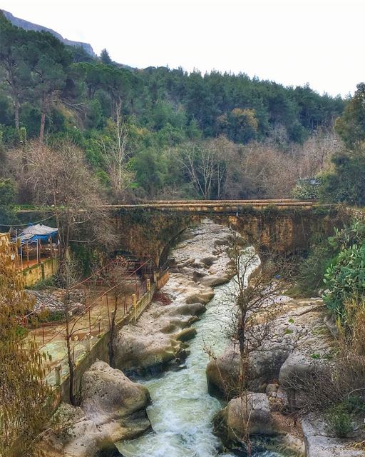 و صوت النهورا ينده الغياب🏞 (Jesr El Quadi)