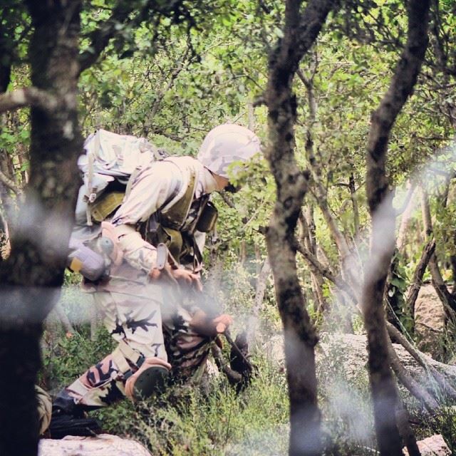 و ما بدلوا تبديلا  fighter  soldier  hezbollah  resistance  trees  war ...