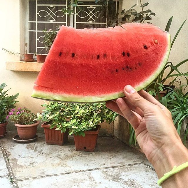 و هيك مناكل بطيخة عند تيتا  watermelon  fruit  piece  atgrandmashouse ... (Jamhoûr, Mont-Liban, Lebanon)