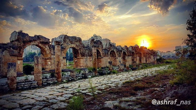 وإمشي على طرقات منسيّةدنية غياب ورح يبيت الطير...انطر شي إيد تسلّم علييش (Roman ruins in Tyre)