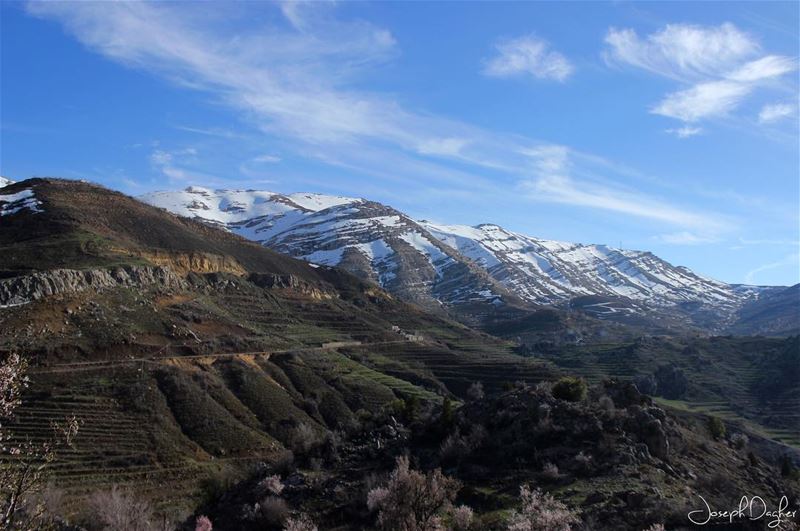 💚والدهر لما وعي فرفك عيونه وقال:"سبحان الله خلقني بفية الارزات"... (Arz Tannoûrîne)