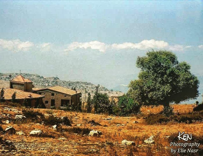 ...وبعدن ايدينا من سنين بشجرة الكينا معلمينوتحت الشجر هاك الحجار اللي ج (Qanat Bakish, Mont-Liban, Lebanon)