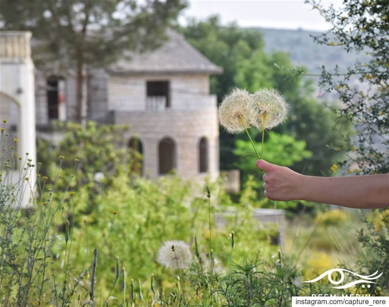 وتمضي الايام والسنين،وتخبرك ان عليك على عكازك الاعتماد...وعلى ﷲ التوكل❤️... (Baqâata, Mont-Liban, Lebanon)