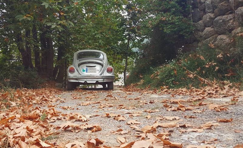 🍁ورقه الاصفر شهر أيلول تحت الشبابيك ذكرني ورقه ذهب مشغول ذكرني فيك...... (Mount Lebanon Governorate)