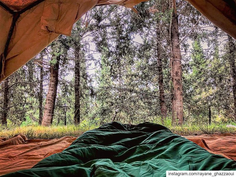 وصلنا للمكان و بدينا بنصب الخيام 🏕قالوا هذه الخيام في خليد الكشفية ⚜️...