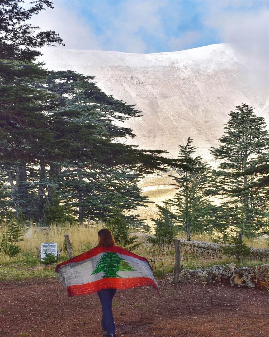 وطني دائماً على حقّ - الرئيس سليمان فرنجية  ٧٥_استقلال_يوبيل_لبنان  كلنا_لل (The Cedars of Lebanon)