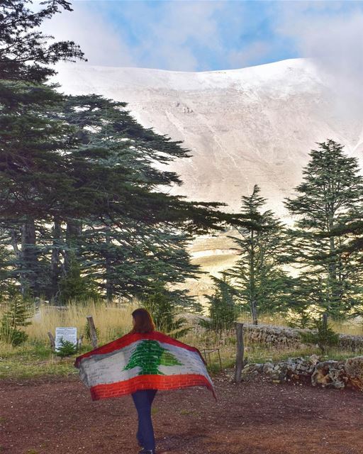 وطني دائماً على حقّ - الرئيس سليمان فرنجية  ٧٥_استقلال_يوبيل_لبنان  كلنا_لل (The Cedars of Lebanon)