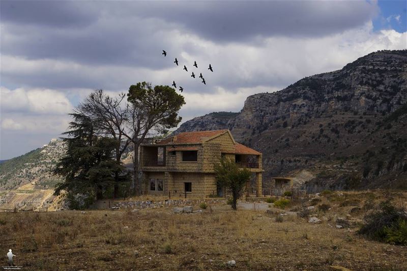...وقصص خلصت قبل ما تبلش jezzine  lebanon  livelovebeirut  livelovenature... (Jezzîne, Al Janub, Lebanon)