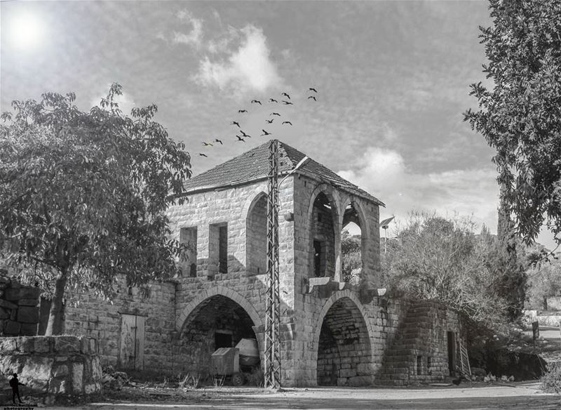 .وقصص خلصت قبل ما تبلش oldhouse  blackandwhite  birds chouf lebanon...