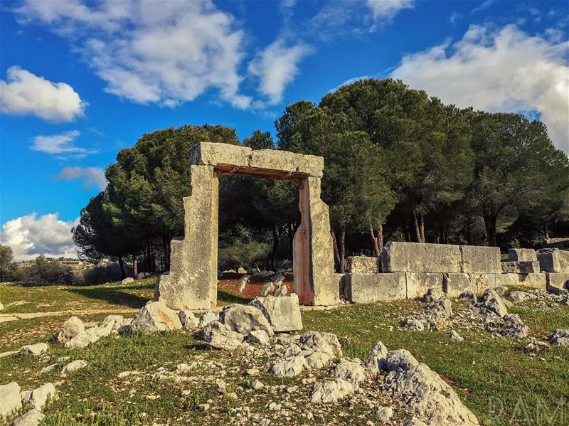 ولأنّ المشاعر ليس لها صوت.. فإنّنا نعشق من يفهم مشاعرنا... (Aïn Aakrîne, Liban-Nord, Lebanon)