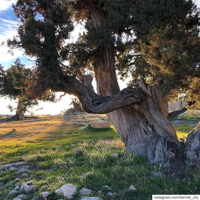 ولو عليها مرقت دهور منضل نكبر بماضيها ...Photo by @m_3ido jord_elhermel ... (El Hermel, Béqaa, Lebanon)