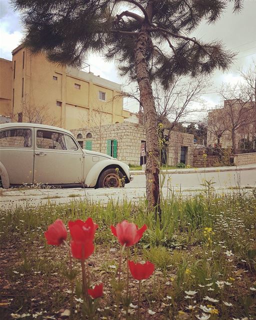وما عرفنا وينييي الورشة🎵🎵🎵 ووينييي الدولة😂 ig_lebanon  insta_lebanon...