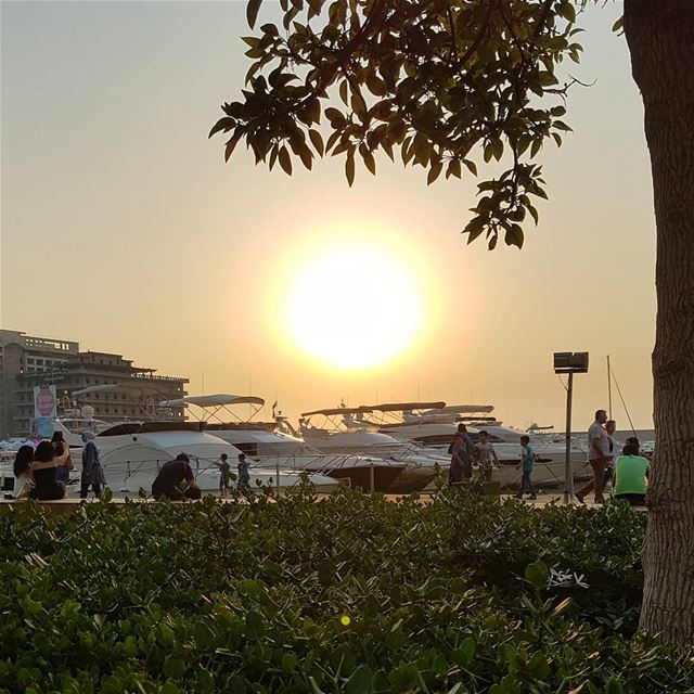 وما لذة الحياة من دونك؟ ig_lebanon  insta_lebanon insta_jezzine...