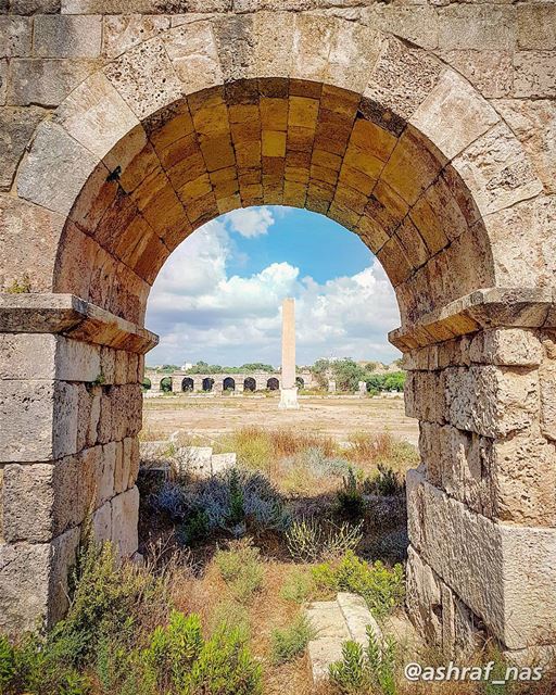 ومن أنا لا تسل سمراء منبتهافي ملتقى ما ألتقت شمس وشطآن...لي صخرة علقت بال (Roman ruins in Tyre)