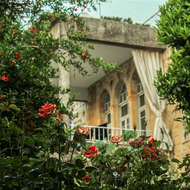 ويا هالصبح الناطر القاعد بالقناطر.. نحنا هلأ جيناويا دارة دوري فينا 🌹.... (Beïno, Liban-Nord, Lebanon)