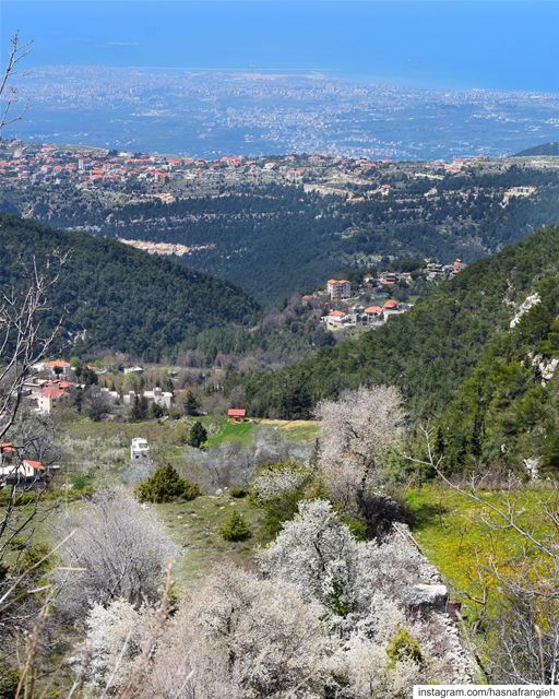 - يا أبي، ماذا يقول لك التراب؟- يأخذني في نزهة الأرض بقريتي. وانت إذا أردت (Ehden, Lebanon)