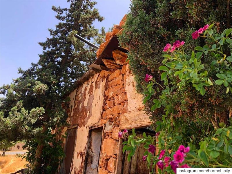 يا بيتي يا بويتاتي ... فيك خلقت وفيك ربيت By @zeinabtueni Hermel  Bekaa ... (El Hermel, Béqaa, Lebanon)