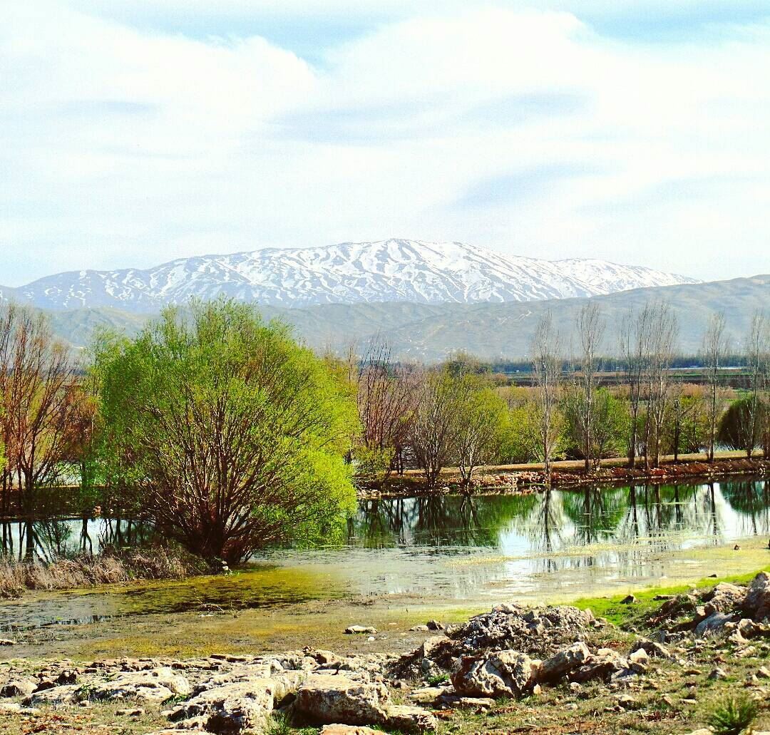 .. يا جبل ..البعيد ammiqreserve  westbekaa  springtime  haramounmountain ... (`Ammiq, Béqaa, Lebanon)
