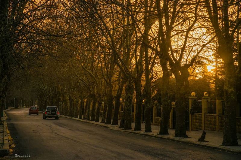 يا حبيبيوبحبك ع طريق غياببمدى لا بيت يخبيناولا باب ===================== (Sawfar, Mont-Liban, Lebanon)