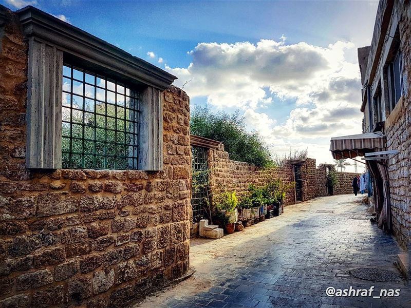 يا زواريب حارتي خبئينيبين جفنيك فالزمان ضنين...واعذريني إذا بدوت حزيناإن (Tyre, Lebanon)