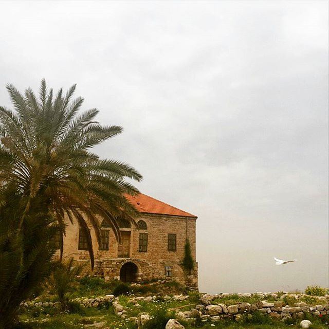 يا طاير علی طراف الدني...