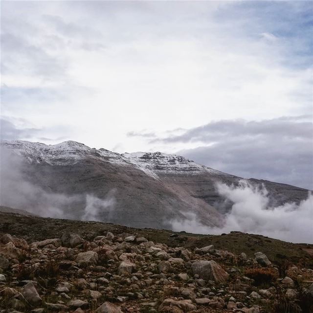 يا ناطرين التلج ما عاد بدكن ترجعوا؟... cold  sannine  outdoors ... (Mount Sannine)