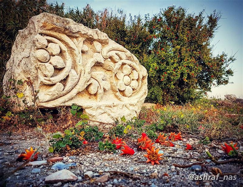 يا نسيم الريح قولي للرشالم يزدني الـِورْد إلا عطشا...لي حبيبٌ حبّه وسط ال (Roman ruins in Tyre)