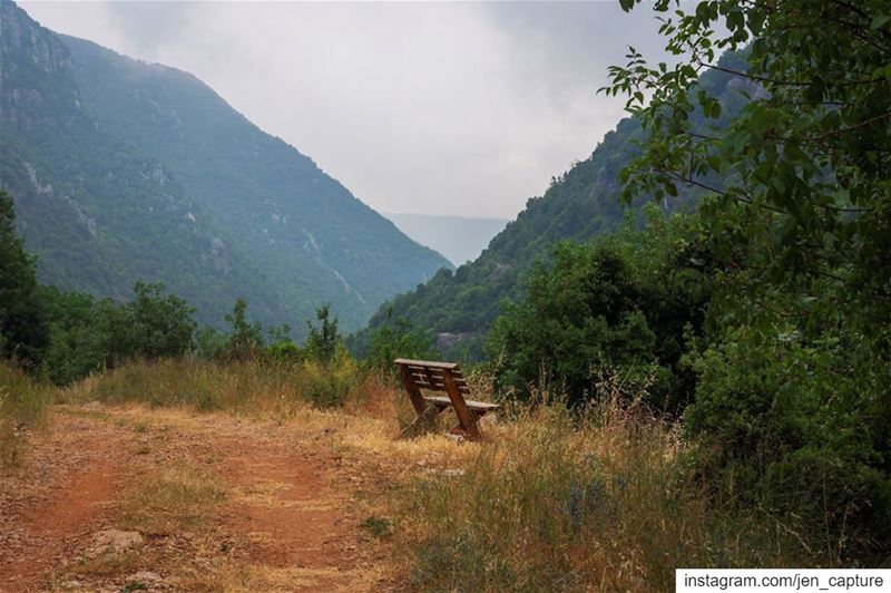 يا هالناطر شو ناطر ؟ضاع الهوى فل من زمان••• HibaTawaji  EntaElFallayt... (Wadi El Salib - Kfardebian)