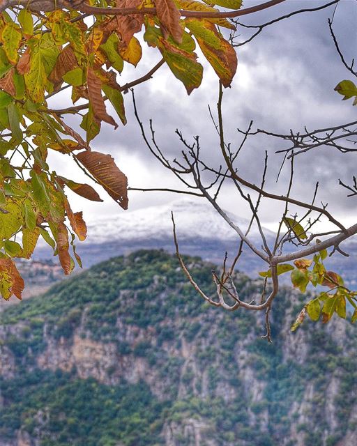 يا ورق العمر الحزين يا دفتر عم يمحي سنين يا مرايتي المكسورةفوق حفاف الطر (Seraaïl, Liban-Nord, Lebanon)