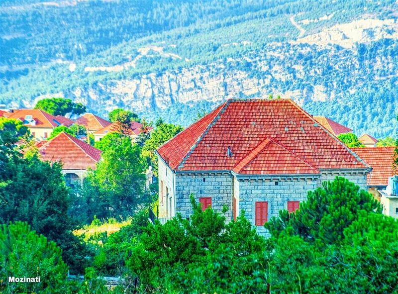 يسعد صباحك يا حلو وعدك لنا لا تبدلونبقى سوى و يبقى الهوى بقلوبنا صافي و حل (Douma, Liban-Nord, Lebanon)