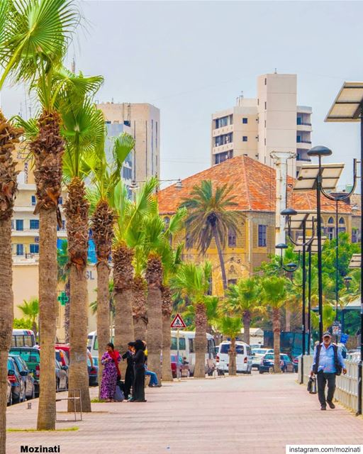 يسعد صباحك يا حلو وعدك لنا لا تبدلونبقى سوى و يبقى الهوى بقلوبنا صافي و حل (Saïda, Al Janub, Lebanon)