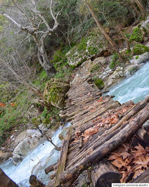 يعبرون الجسر في الصبح خفافا... .... lebanon  photography ... (Jezzine District)