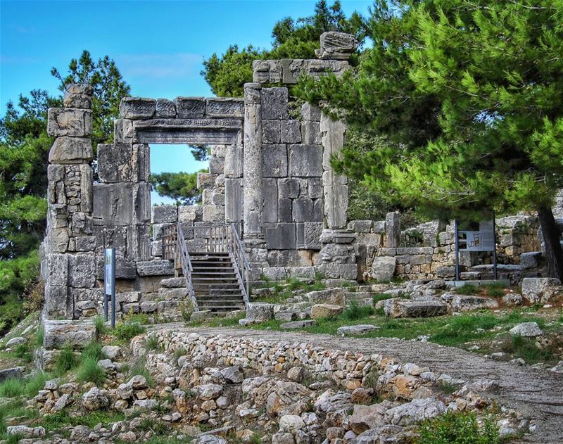 يموت ببطء من لا يسافر، من لا يسمع موسيقى  (Chhîm, Mont-Liban, Lebanon)