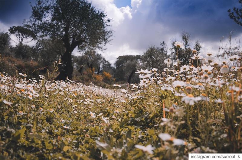 يُؤْتِكُمْ خَيْرًا مِّمَّا أُخِذَ مِنكُمْ .. livelovebeirut  lebanon_hdr ...