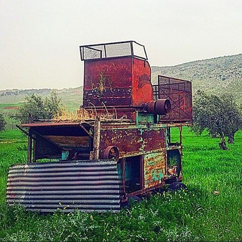 ّكان عنّا طاحون عنبع الميّ 🎶 قدّامه ساحات مزروعة فَي 🌳 وجدّي كان يطحن للح (القليعة)