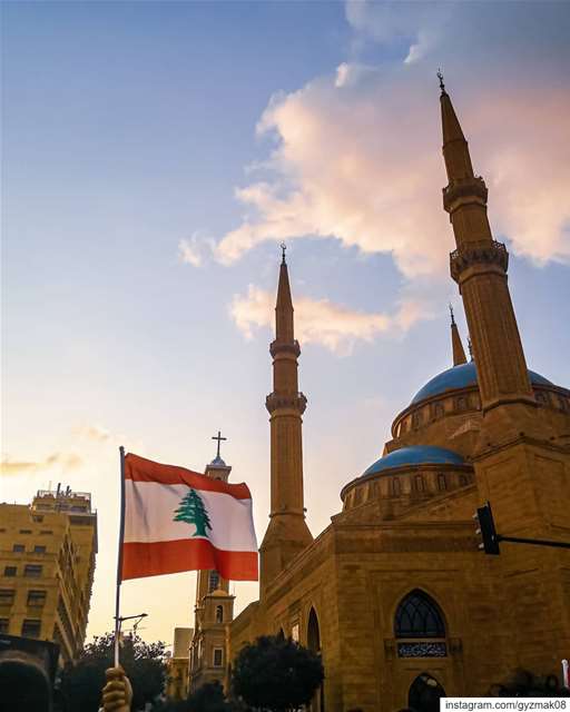 ٧ ايام.٧ ايام انتفاض.٧ ايام ثورة.٧ ايام وما وقف نبضنا.جرّبوا يوقفونا. ج (Lebanon)