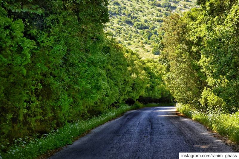 ᵗᵘᶰᶰᵉˡ ᵒᶠ ᵍʳᵉᵉᶰ ᵃᶰʸᵒᶰᵉ ? ........ viewsoflebanon  super_lebanon ... (Wadi Al Hujair)